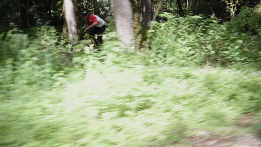Man rides a bicycle on a path in the forest