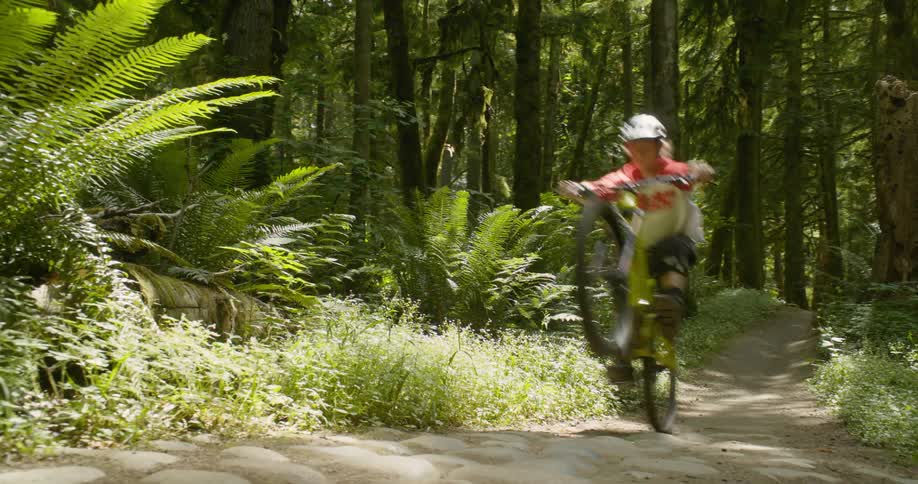 A bicyclist balances on their back wheel in a forest
