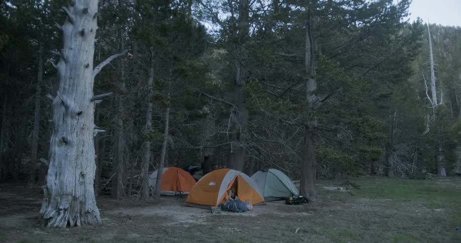 Friends On A Backpacking Trip