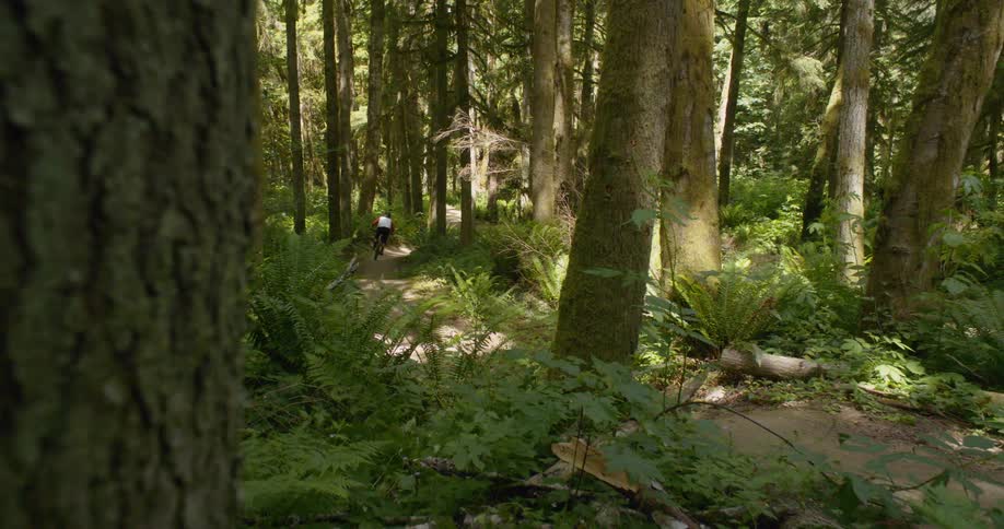 A man rides a bicycle on the dirt trail