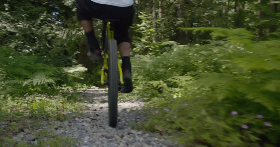 Person rides a bike on a bumpy path in the woods