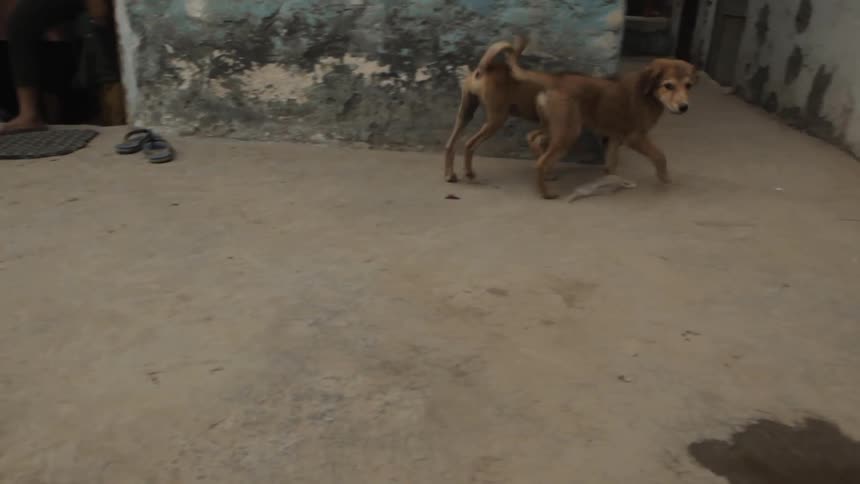 India