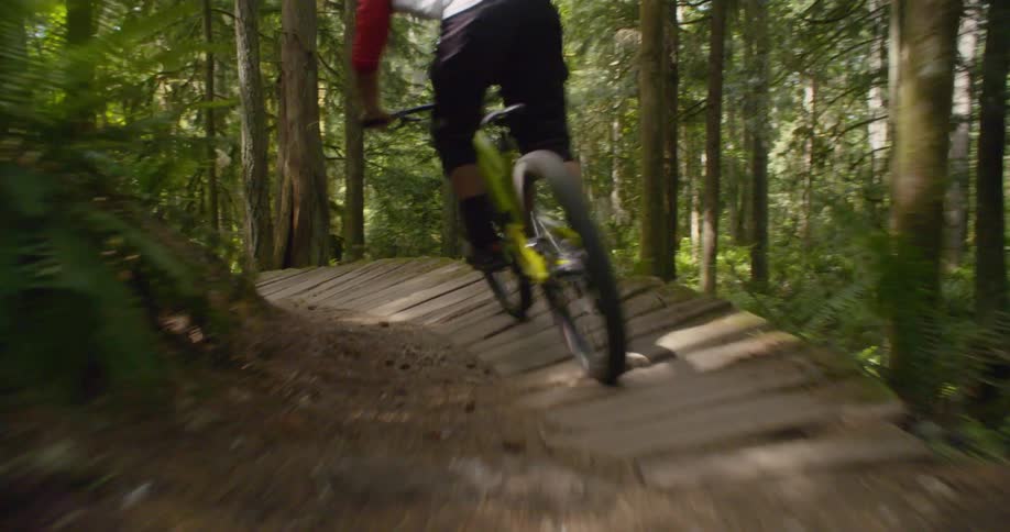Man rides a bicycle on a path in the forest on a sunny day