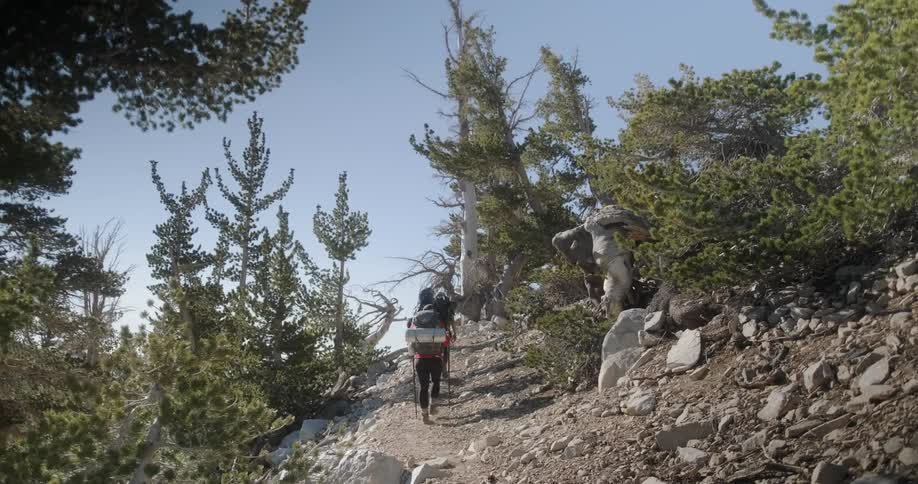Friends On A Backpacking Trip