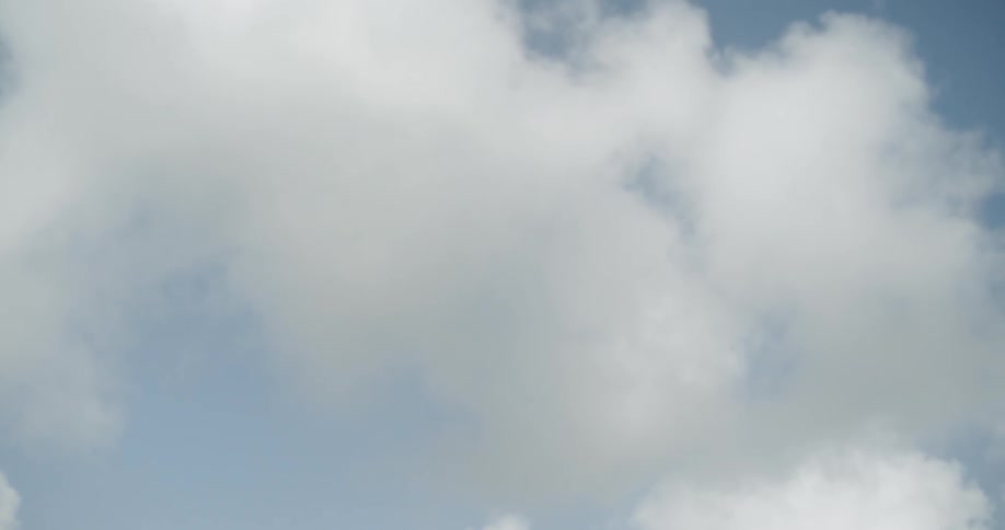 Birds fly under the white clouds