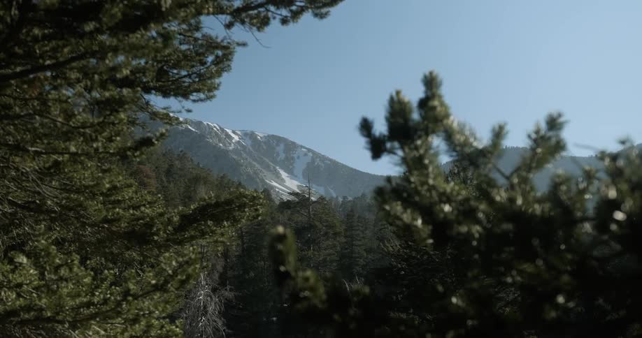Sun shines down over trees and mountains