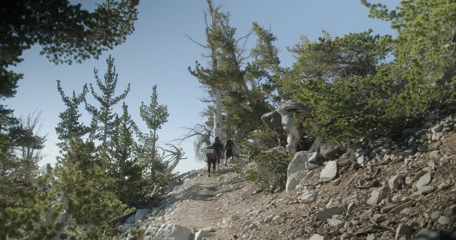 Hikers trek up the mountain