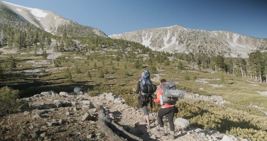 Women are hiking on sunny mountain trail with backpacks