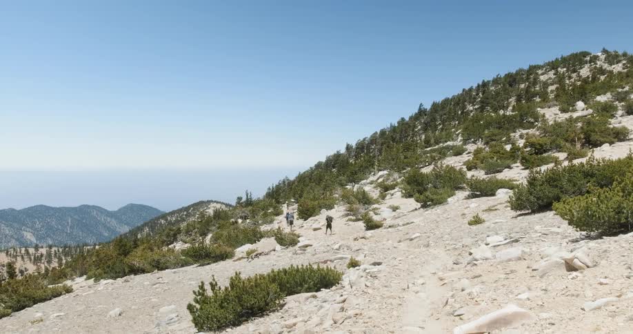 Hikers climb up a shrubby hillside