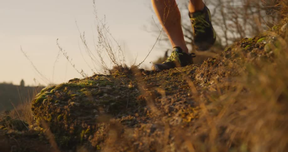 Man Jogging In Woods
