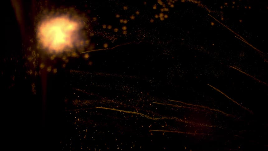 Fireworks exploding in the sky