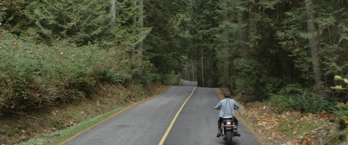 A man rides a motorcycle into the woods