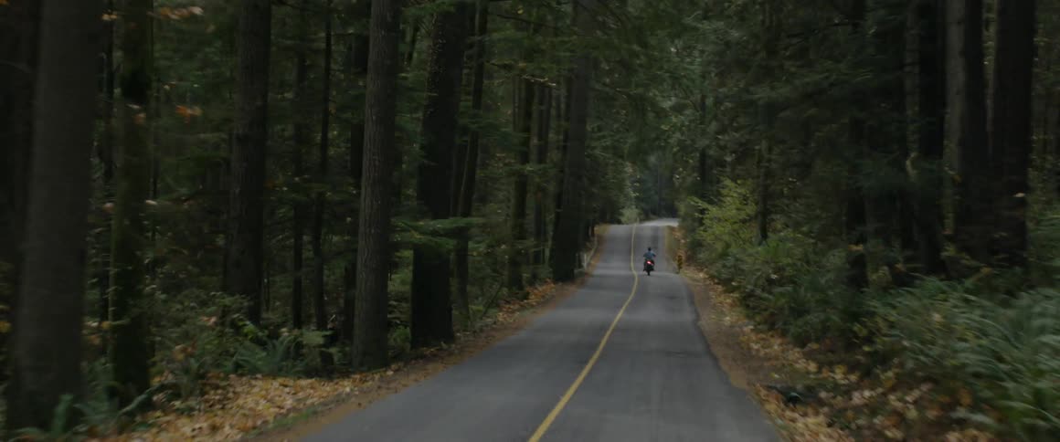 Motorcycle travels down the road near the forest