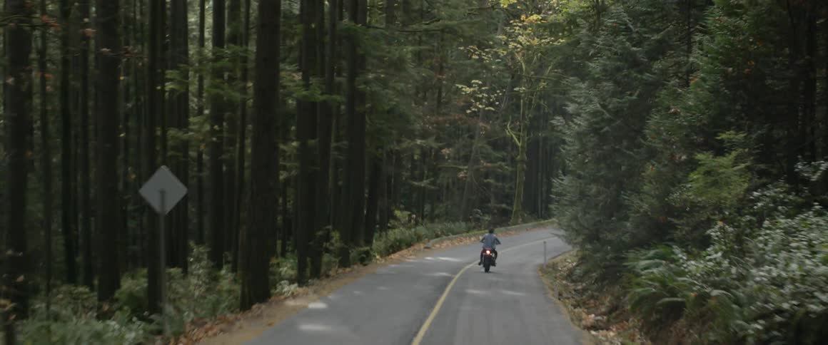 Person rides on a motorcycle down a winding road lined with trees