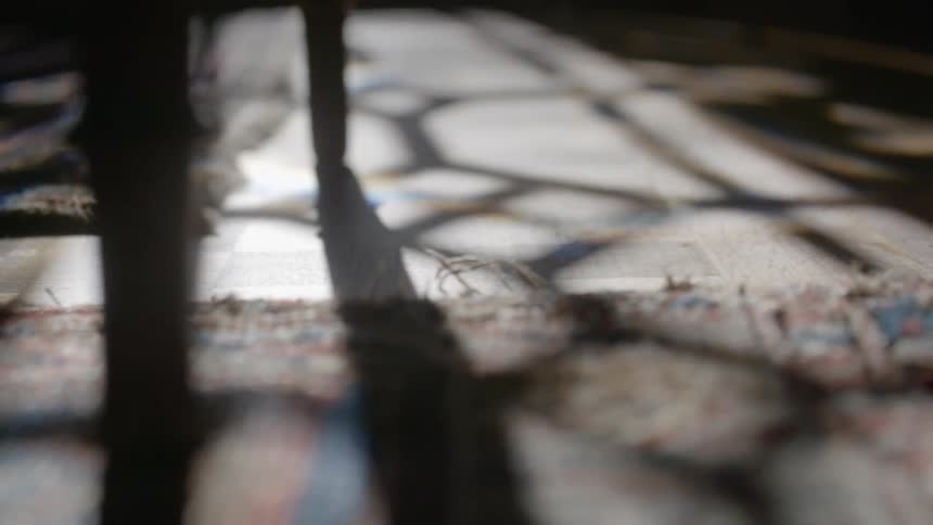 Shadows are cast on a hardwood floor and rug