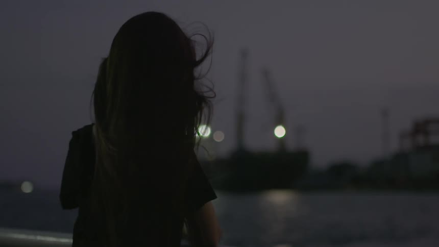 A woman's hair blows in the wind as she looks at the ocean at night