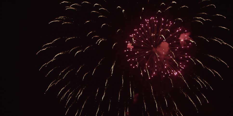 Fireworks exploding in the night sky