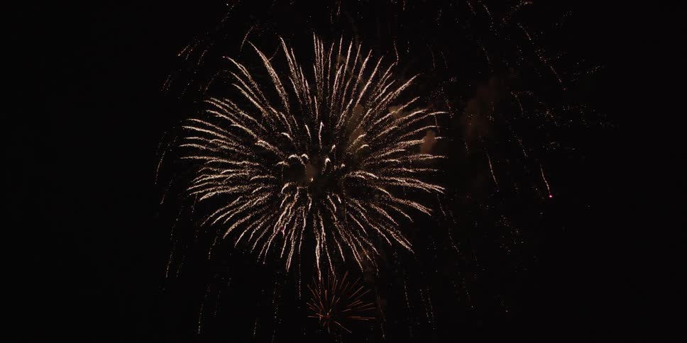 Fireworks explode in the dark night sky
