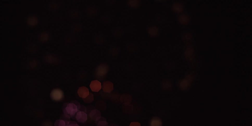 Fireworks exploding in the night sky