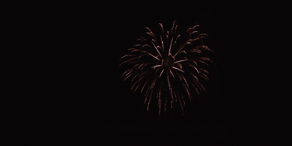 Fireworks explode in the night sky