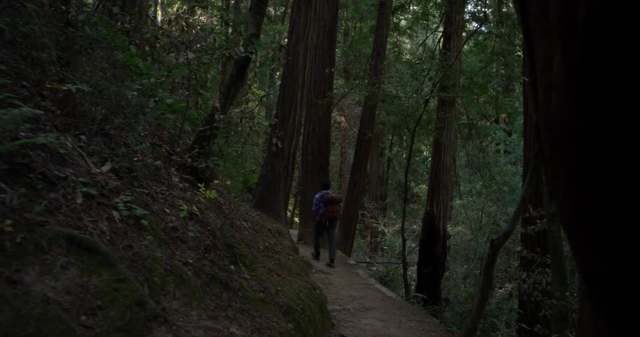 Hiker