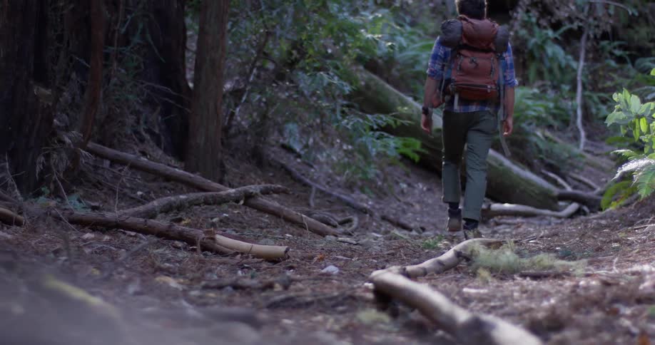 Hiker