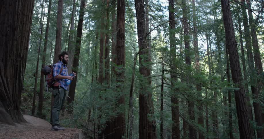 A man hikes through the woods