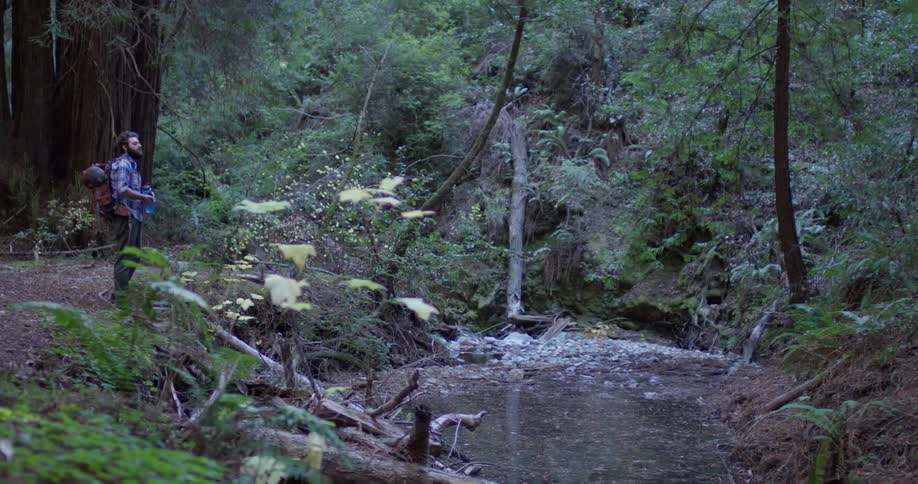 Man walks through nature and stops by a small stream