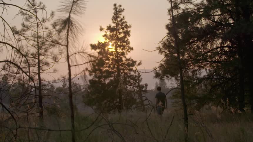 A man is walking through tall grass in a forest during the early morning