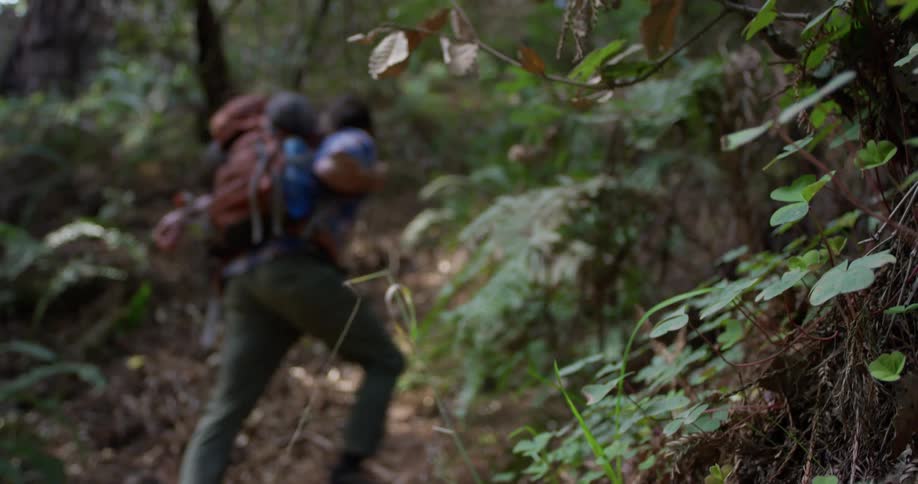 Man hikes through the woods wearing a backpack