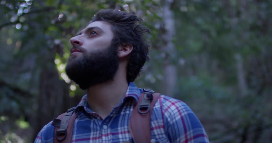 Man with backpack looks around forest