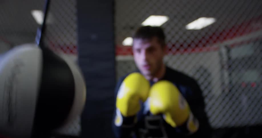 Men Boxing