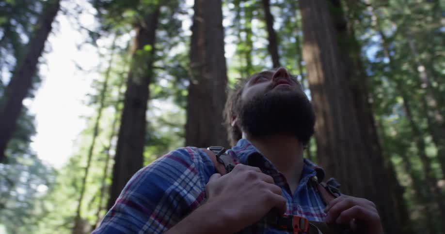 Hiker