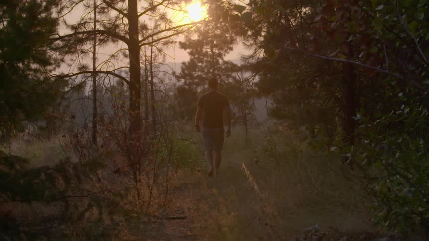 A man is walking through the forest in the early morning