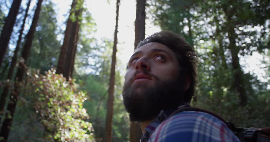 Hiker