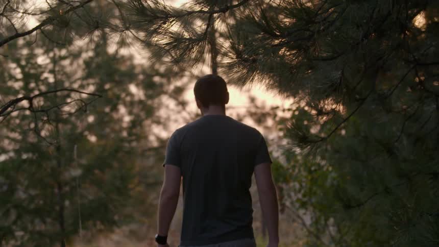 Man walking through pine trees