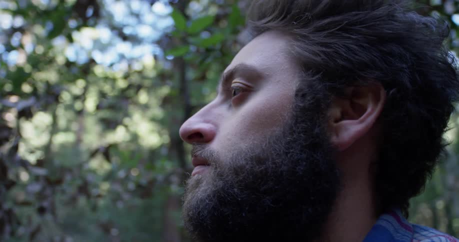 Man stands in the woods looking up