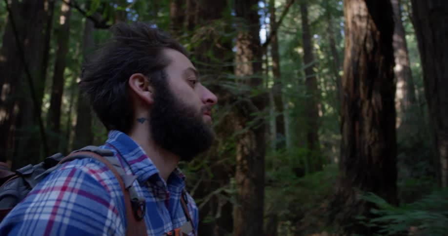 A hiker walks in the woods