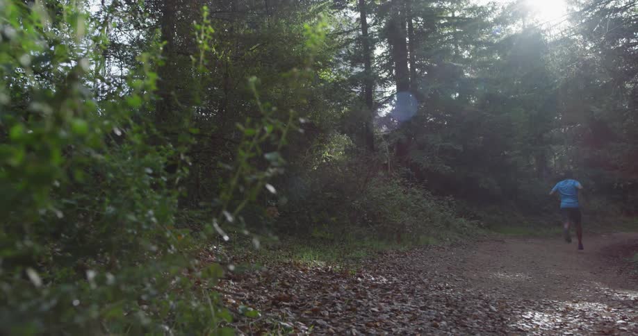 A man jogs through the trees on a sunny day