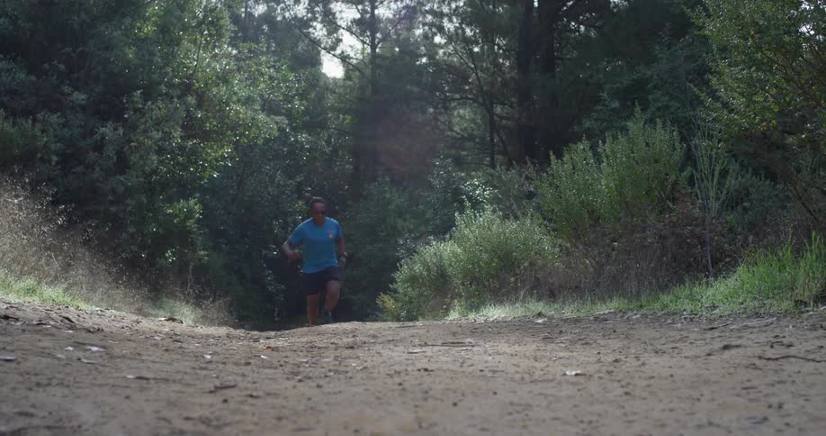 A man jogs in a forest