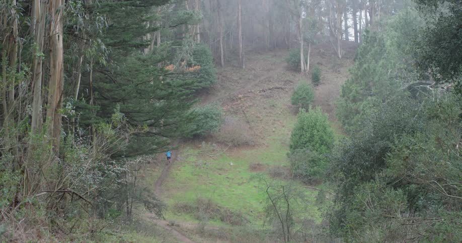 A man jogs in the foggy forest