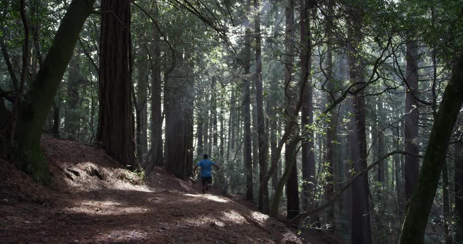 A man is running fast in the forest