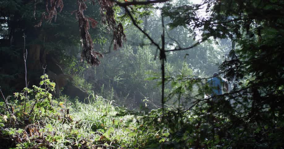 A man jogs through the woods