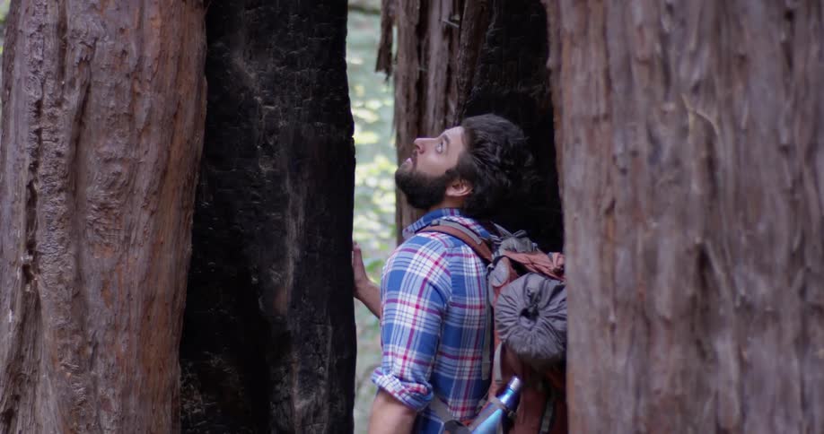 A hiker looks around at the tall trees in the woods