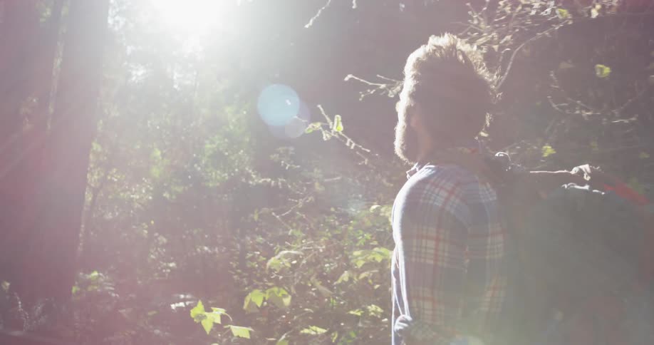 A man hikes in the woods