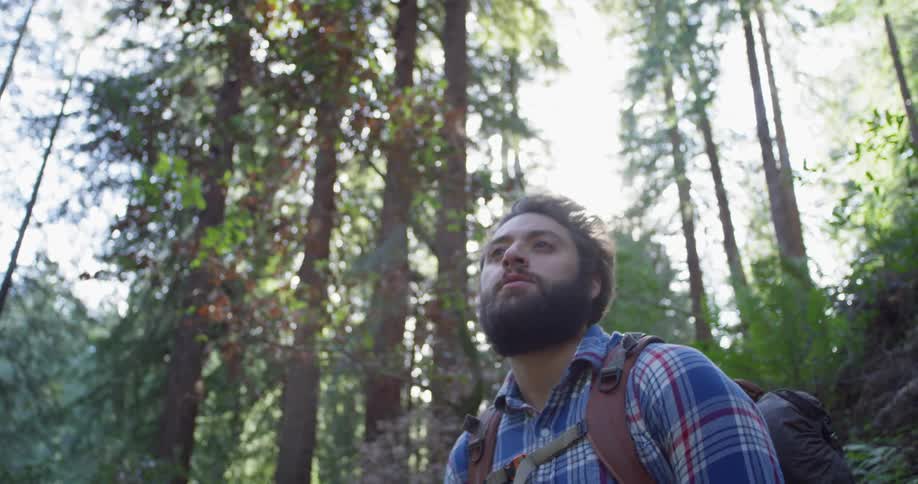 Man stands in nature looking around