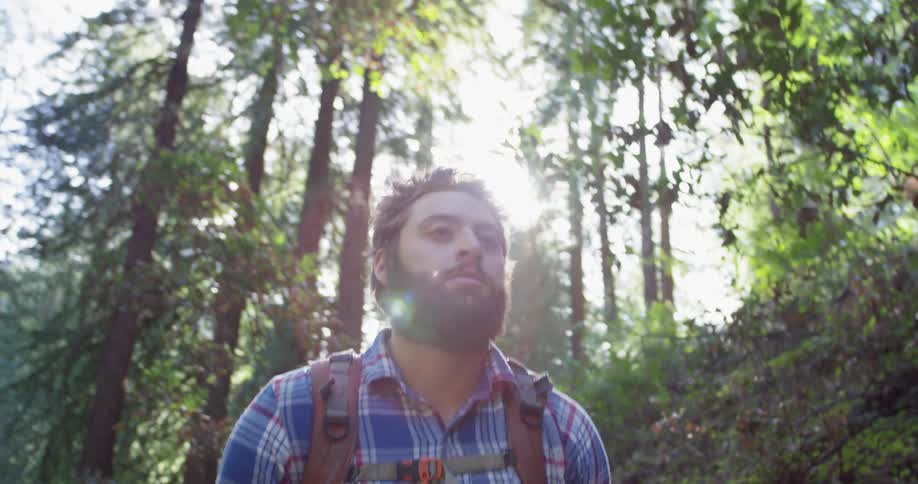 A man walks through the woods
