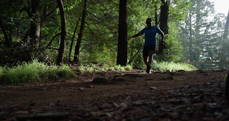 A man leaps and runs in a forest