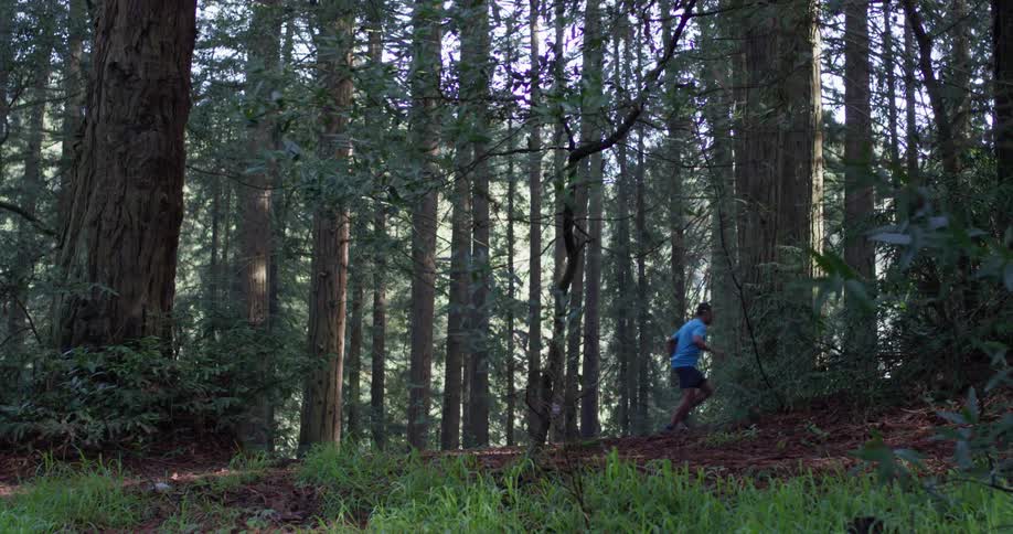 Runner In Forest