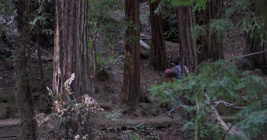 A man hikes in the woods